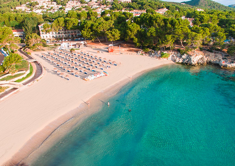 maiorca
