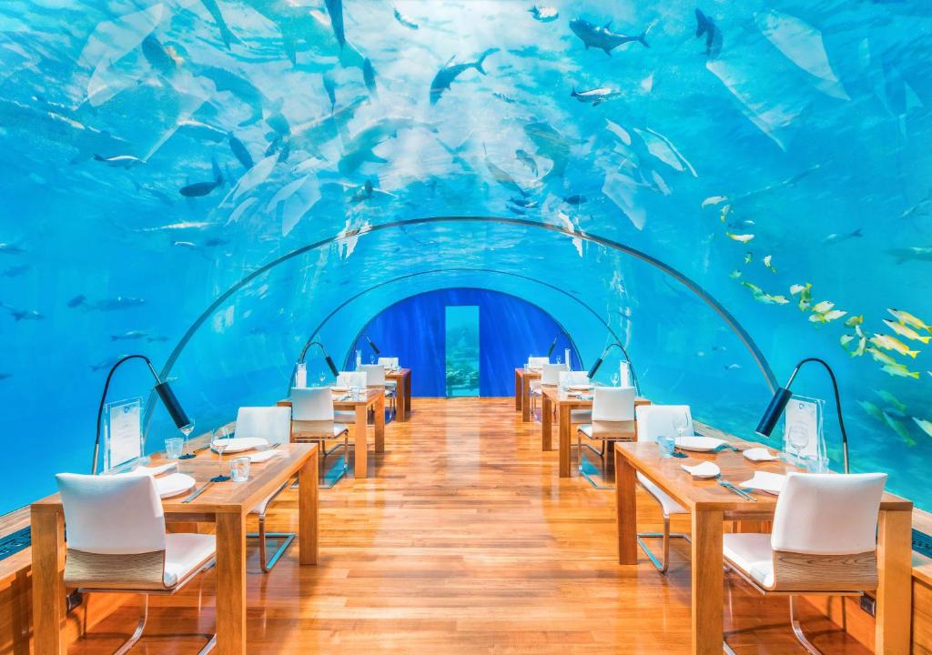 maldive