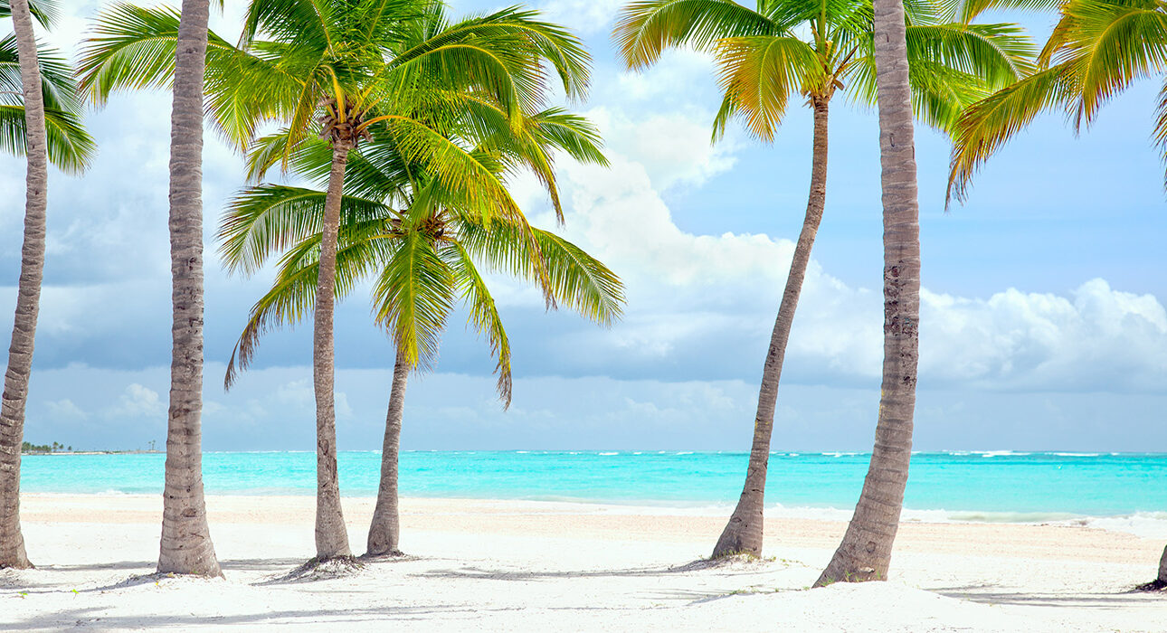 santodomingo
