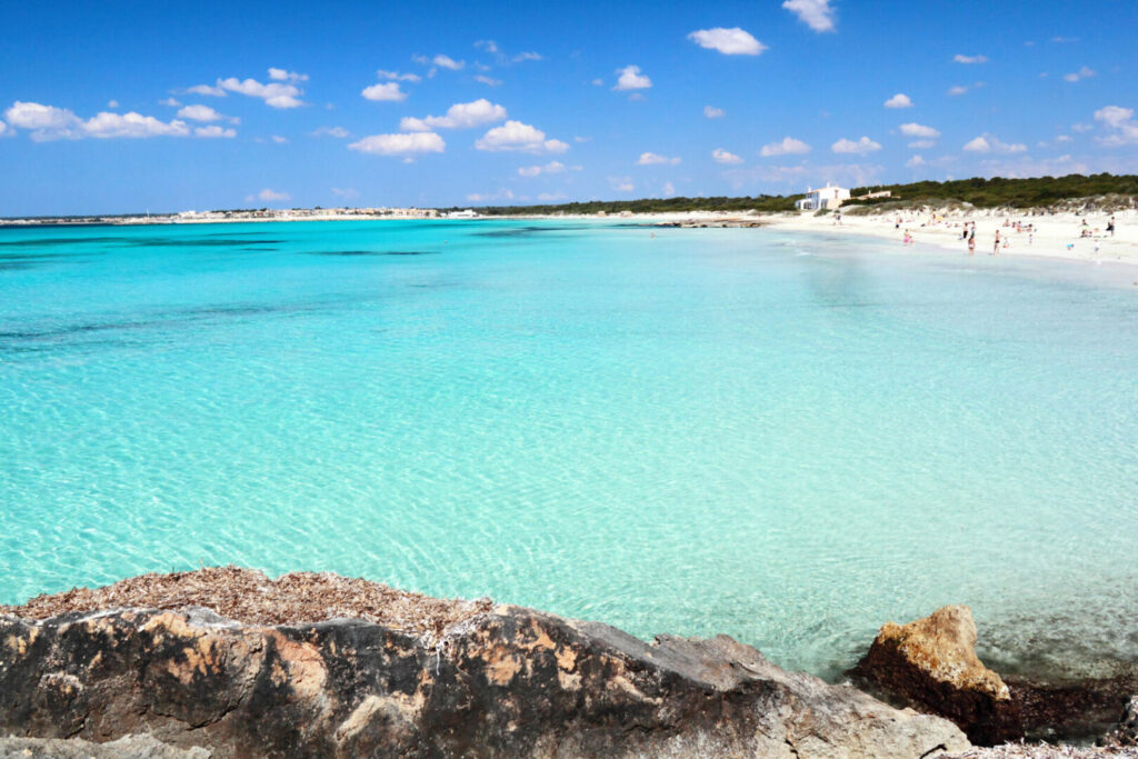 MAIORCA