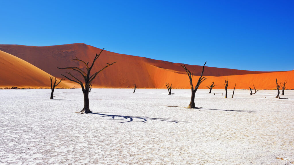NAMIBIA