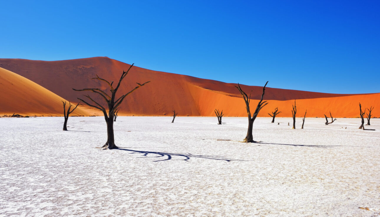 NAMIBIA